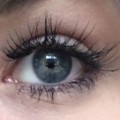 Hollywood Lashes Blog Review